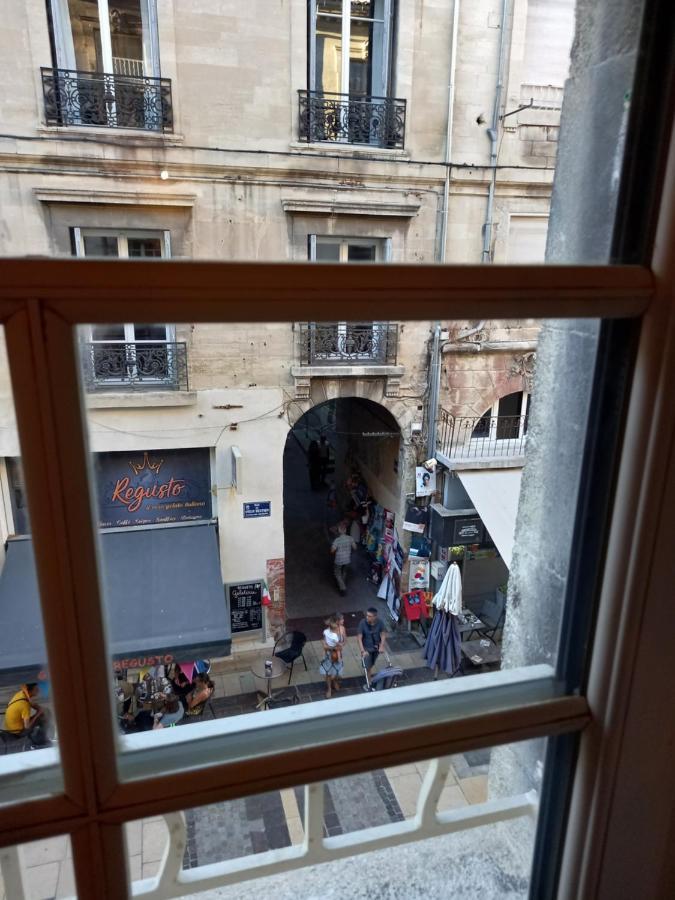 Studio Cocooning Centre Historique D Avignon Lägenhet Exteriör bild